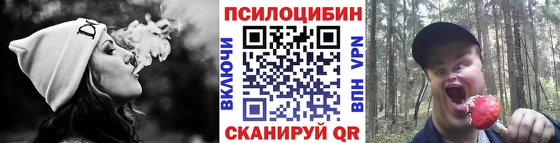 наркота  Всеволожск  Псилоцибиновые грибы прущие грибы 