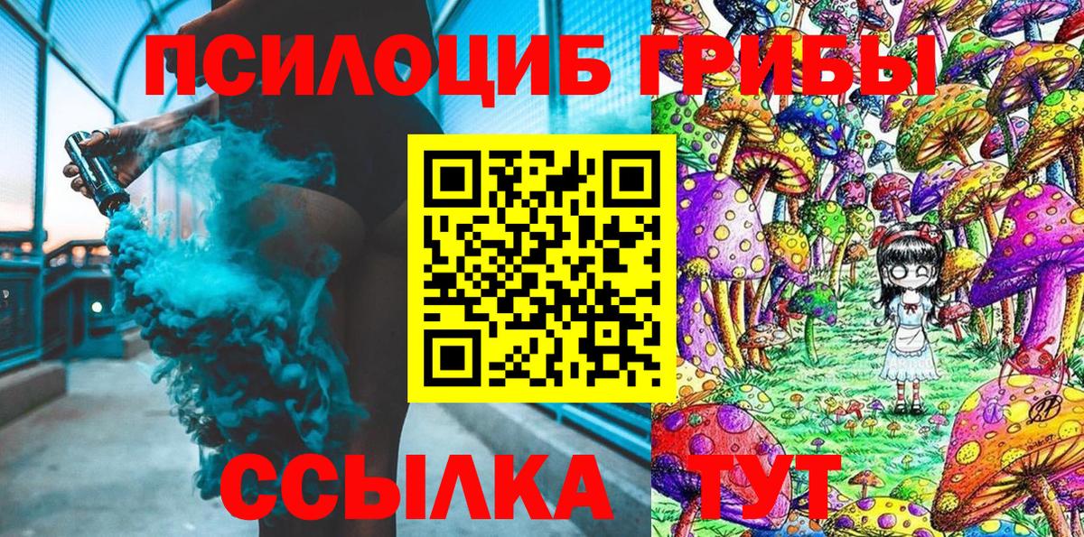 Псилоцибиновые грибы Psilocybine cubensis  Вход с VPN  Всеволожск 